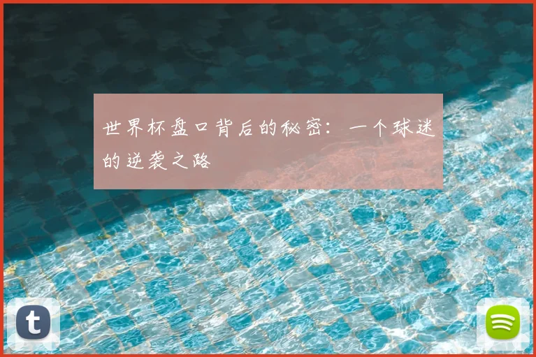 世界杯盘口背后的秘密:一个球迷的逆袭之路