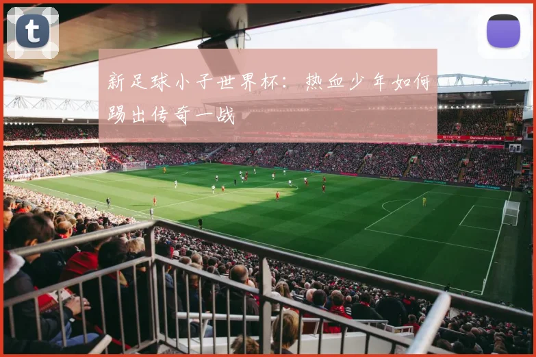新足球小子世界杯：热血少年如何踢出传奇一战