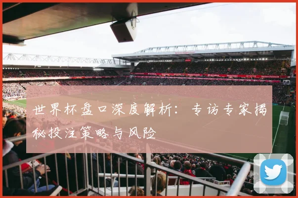 世界杯盘口深度解析:专访专家揭秘投注策略与风险