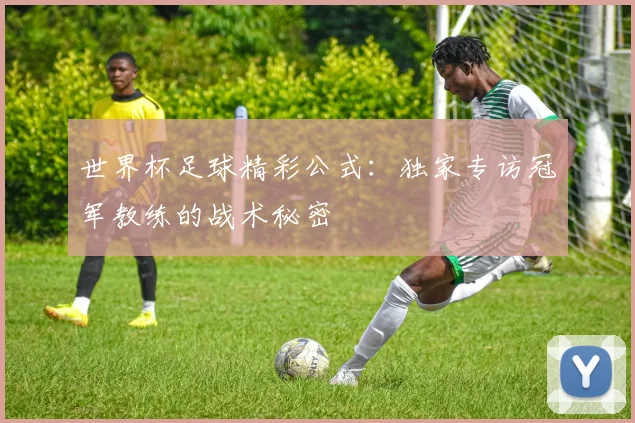 世界杯足球精彩公式:独家专访冠军教练的战术秘密