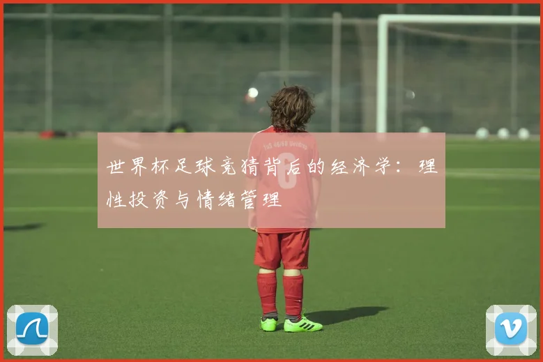 世界杯足球竞猜背后的经济学:理性投资与情绪管理